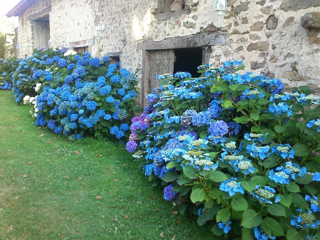 Le Domaine De Panissac Bed and Breakfast Berneuil  Zewnętrze zdjęcie